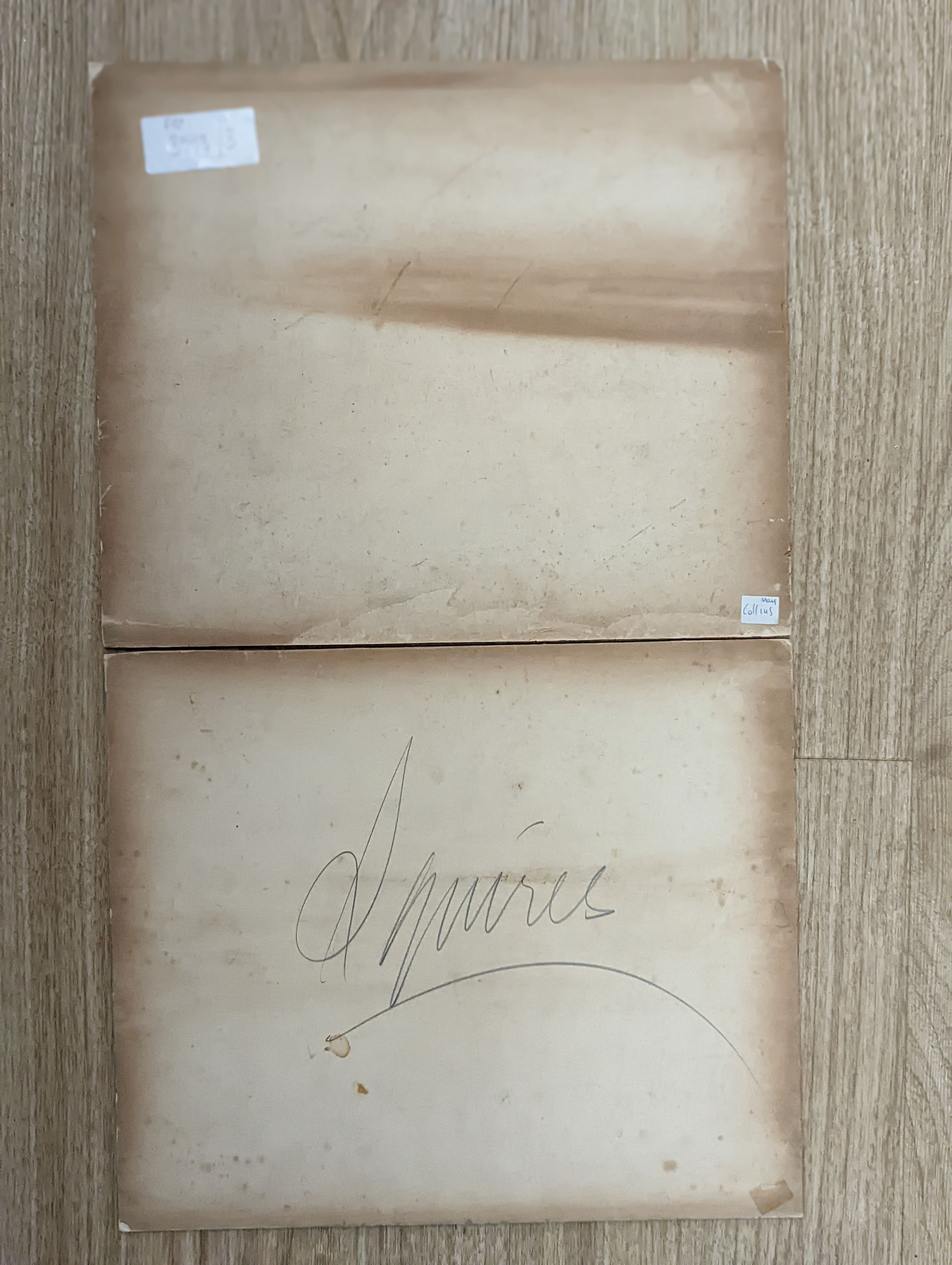 G. Coleman (19th C.), pair of watercolours, Hummingbirds beside nests, signed, 16 x 21cm, unframed